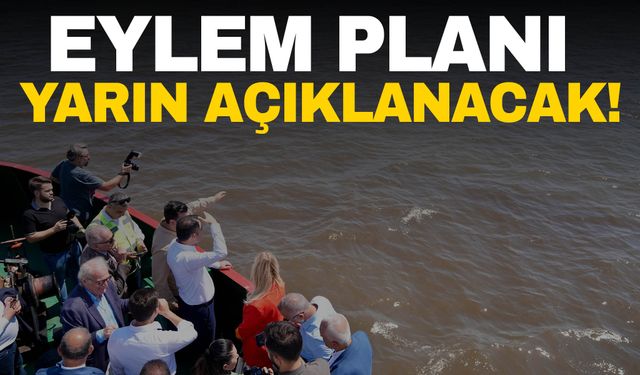 İzmir Körfezi balık ölümleriyle mücadele ediyor! Eylem planı yarın açıklanacak