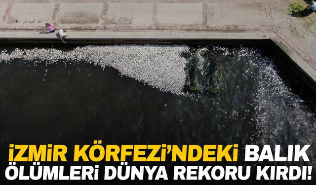 İzmir Körfezi’ndeki balık ölümleri dünya rekoru kırdı!