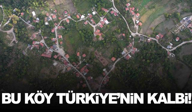 Kendine hayran bırakan köy… Şekli büyülüyor!