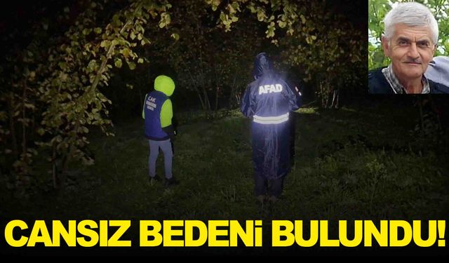 Kestane toplamaya giden adamdan acı haber!