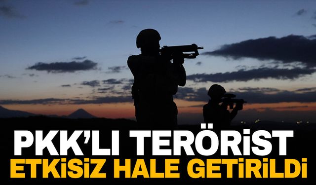 Kırmızı kategoride aranan PKK'lı terörist Ramazan Aktaş etkisiz hale getirildi