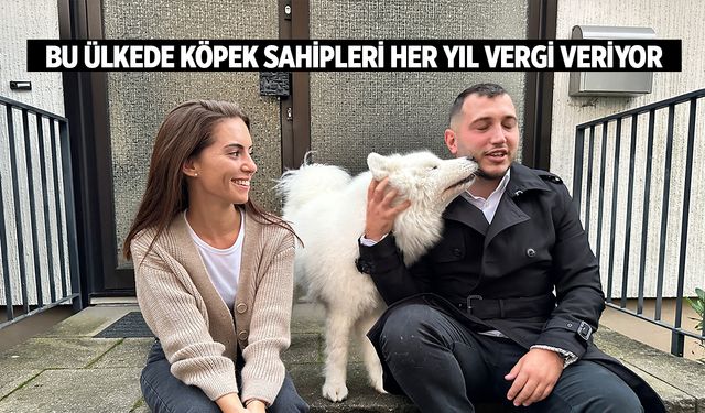 Köpek vergisini ödemeyenlere 10 bin euro ceza