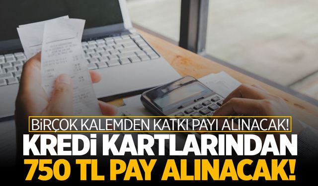 Kredi Kartları ve bazı kalemlerden katkı payı alınacak!