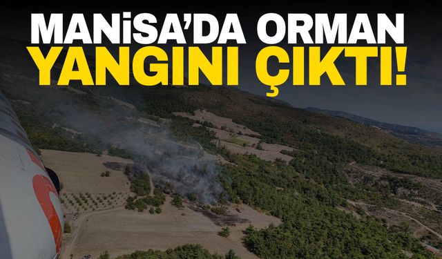 Manisa Kırkağaç’ta orman yangını!