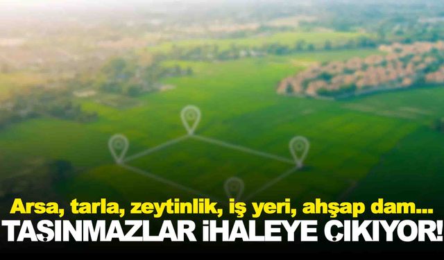 Manisa’da belediye çok sayıda taşınmazı ihaleye çıkarıyor! Arsa, tarla, zeytinlik, iş yeri, dam… Neler var neler!