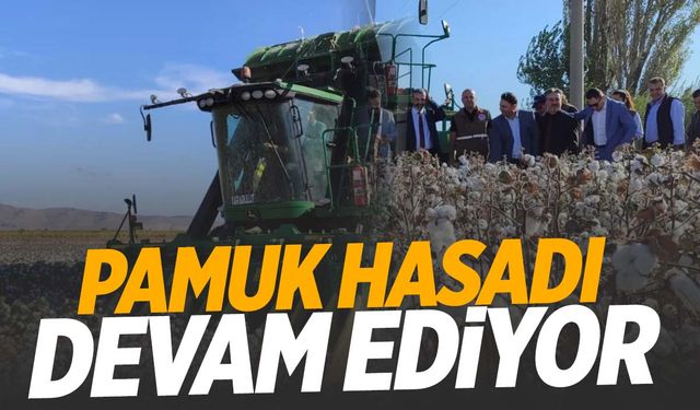 Manisa’da beyaz altın hasadı devam ediyor! Verimin 600-700 kiloya kadar ulaşması bekleniyor!