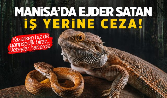 Manisa’da Ejder Satan İş Yerine Ceza!