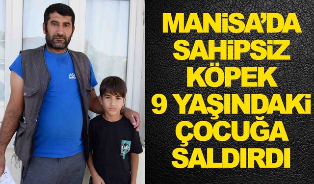 Manisa’da sahipsiz köpek, çocuğa saldırdı!