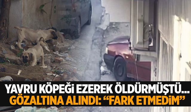 Manisa’da yavru köpeği ezerek öldürdü! “Fark etmedim” dedi!