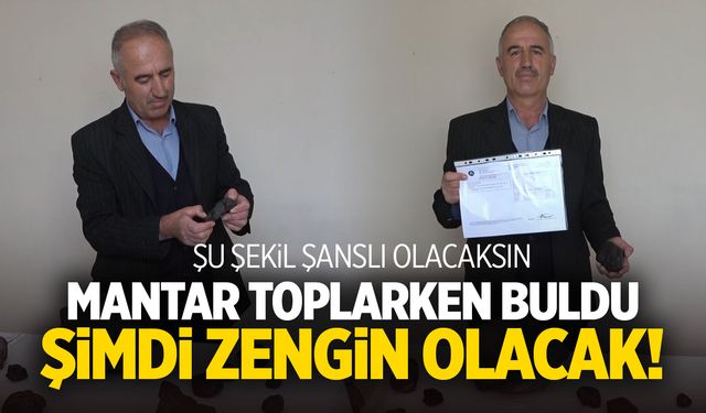 Mantar toplarken buldu! Şimdi zengin olacak...