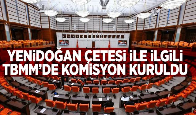 Meclis ‘Yenidoğan çetesi’ için harekete geçti! Bebek ölümleri ile ilgili komisyon kuruldu