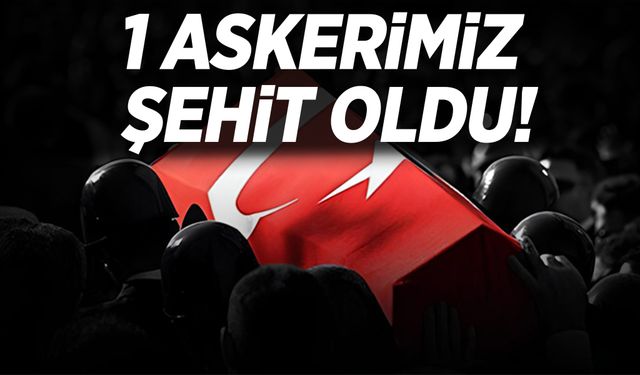 MSB acı haberi duyurdu! 1 askerimiz şehit düştü