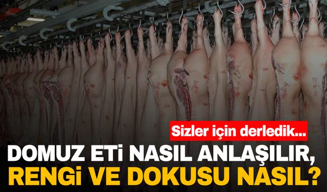 Son günlerde gündem olan domuz eti nasıl anlaşılır?