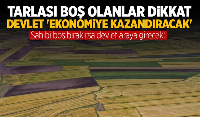 Tarlası ve Arsası Boş Kalanlar Dikkat: Hükümet Harekete Geçti