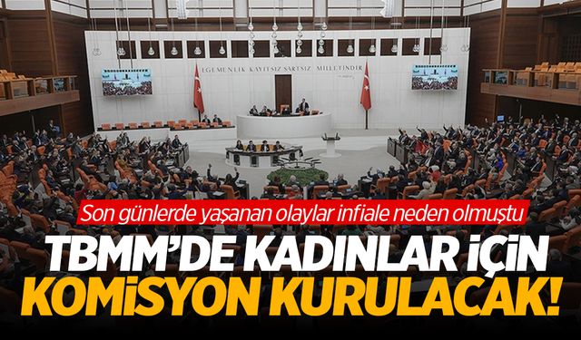 TBMM'de Kadın Şiddetin Araştırılması İçin Komisyon Kurulacak!