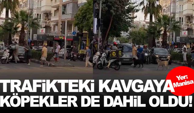 Manisa’da trafikteki kavgaya köpekler de dahil oldu!