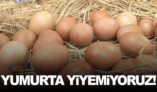 Üretiyor yemiyoruz… Kişi başına yıllık tüketim sadece 150 adet!