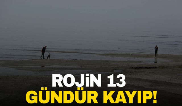 Van’da kaybolan Rojin’den 13 gündür haber yok