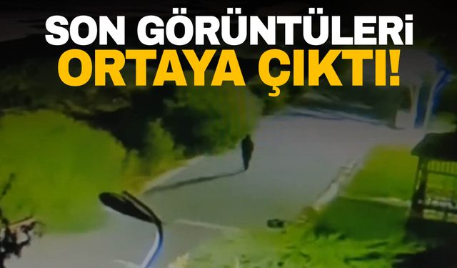 Van'da kaybolan Rojin’in son görüntüleri ortaya çıktı