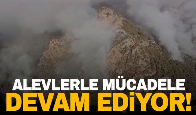 Yangında dördüncü gün: Alevlerle mücadele sürüyor