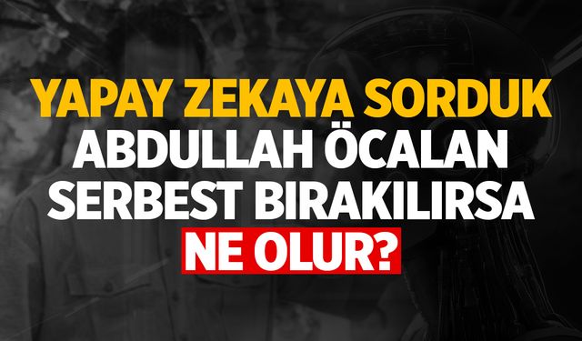 Yapay zeka "Abdullah Öcalan serbest bırakılırsa ne olur?" sorusuna cevap verdi