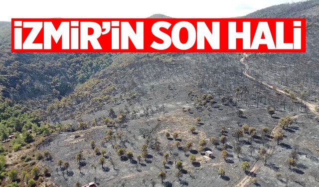 Yaz biterken yangın vurmuştu! İzmir'in son hali