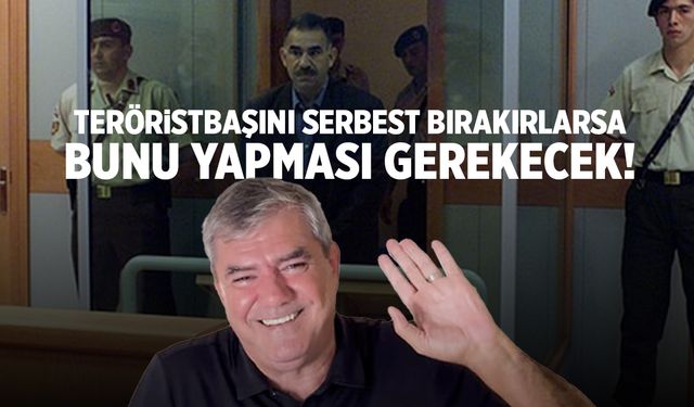 Yılmaz Özdil açıkladı! Teröristbaşı Abdullah Öcalan serbest bırakılırsa önce bunu yapması gerekecek!