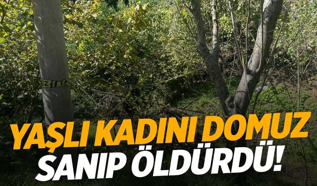 Zonguldak’ta feci olay… Yaşlı kadını domuz sanıp öldürdü!