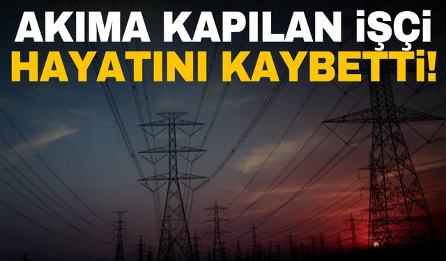 Acı ölüm: Elektrik direğinde akıma kapılan elektrikçi hayatını kaybetti