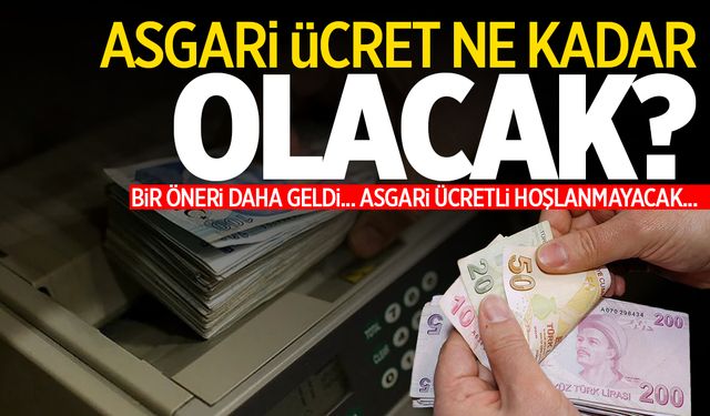 Asgari Ücret İçin Yeni Öneri! Beklentileri Karşılamayacak Gibi…