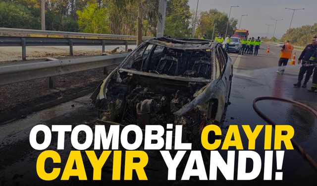 Aydın-İzmir otoyolunda otomobilde yangın çıktı!