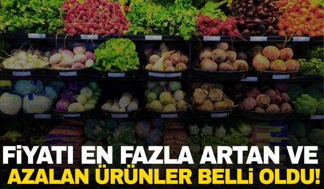 Ekim ayında fiyatı en fazla artan ve azalan ürünler belli oldu!