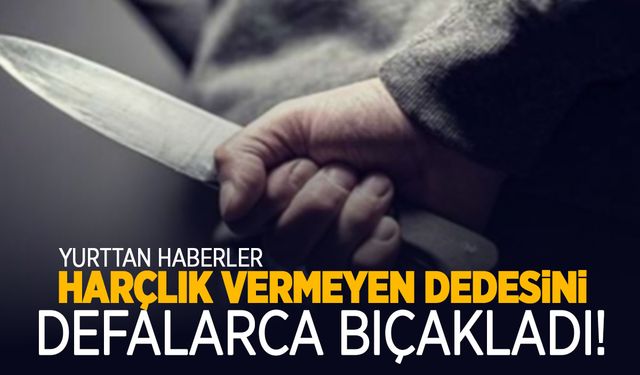 Harçlık vermeyen dedesini bıçakladı!