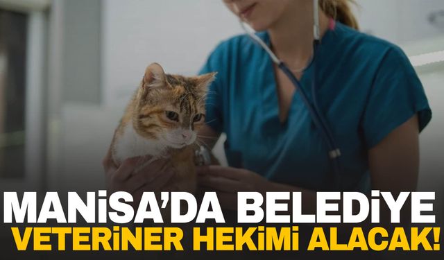 Manisa’da belediye Veteriner Hekimi alımı yapacak