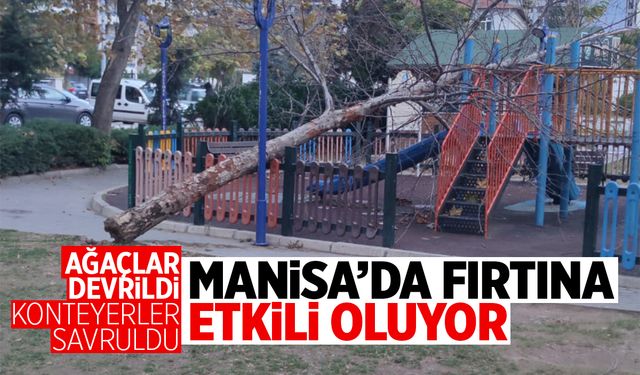 Manisa'da fırtına etkili oluyor: Ağaçlar devrildi, konteynerler savruldu