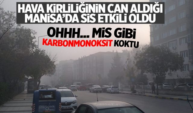 Manisa'da Sis Etkili Oldu