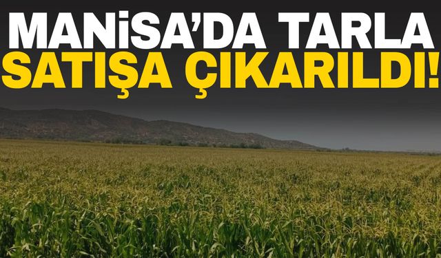 Manisa’da tarla alacaklar dikkat! İlçede tarla satışa çıkarıldı