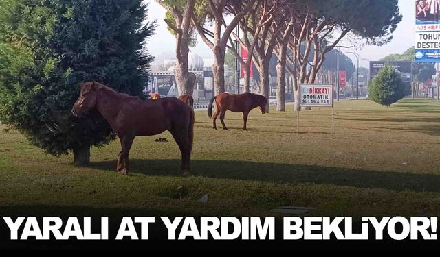 Manisa’da tehlikeli görüntü… Gece yaşanan kaza akıllara geldi!