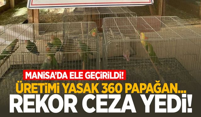 Manisa’da üretimi yasak papağan satışı yapan şahsa rekor ceza!