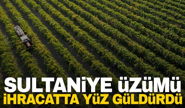 Manisa’nın üzümü dünya markası olma yolunda… İhracatta yüz güldürdü