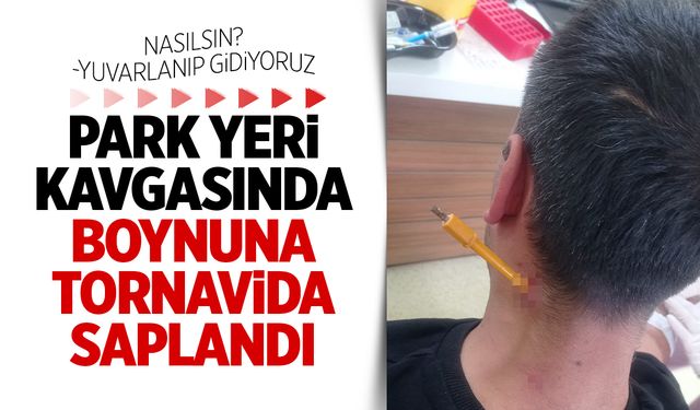 Memleketten görüntüler... Park kavgasında boynuna tornavida sapladılar