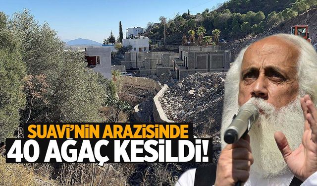 Suavi’nin Bodrum’daki arazisinde 40 ağaç kesildi! Bakanlık inceleme başlattı