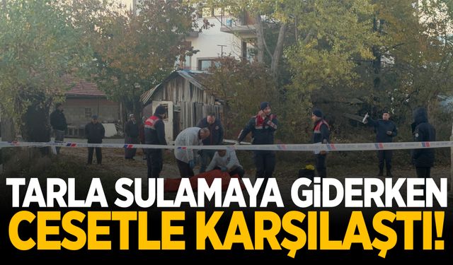 Tarla sulamaya gitti… Derede cesetle karşılaştı