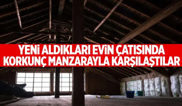 Yeni aldıkları evin çatısında korkunç manzarayla karşılaştılar!