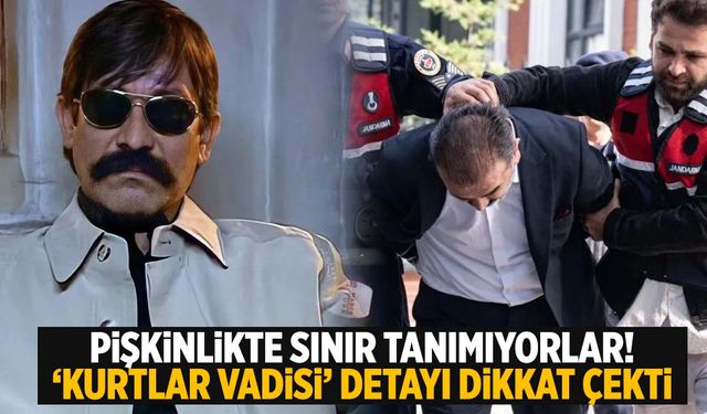 Yenidoğan Çetesi davasında ‘Kurtlar Vadisi’ detayı!