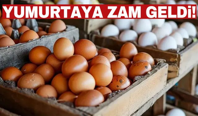 Yumurta sevenleri üzecek haber! Zam geldi