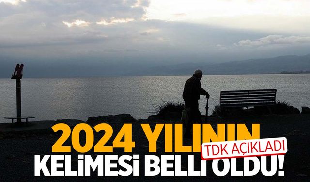 2024 yılının kelimesi belli oldu!