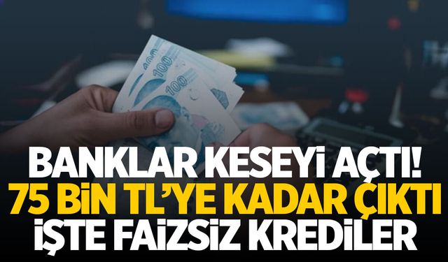 75 Bin TL’ye çıktı! Bankalar kesenin ağzını açtı… Akbank, Garanti, İş Bankası faizsiz kredi kampanyaları…