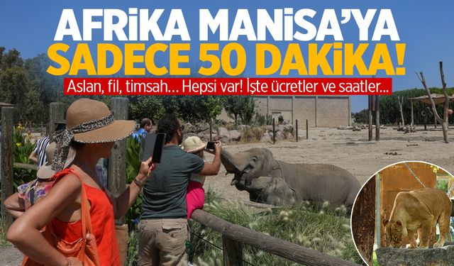 Afrika, Manisa’ya sadece 50 dakika! Aslan, fil, timsah… Hepsi var! | İzmir Doğal Yaşam Parkı