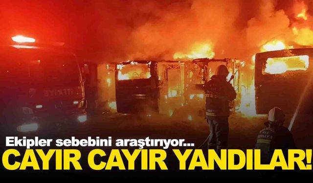 5 otobüs cayır cayır yandı… Akıllara şüphe düşüren olay!